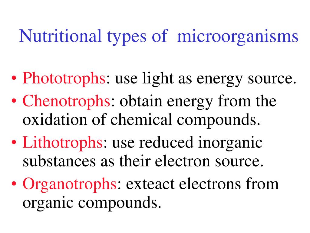 Photoorganotrophic heterotrophs energy